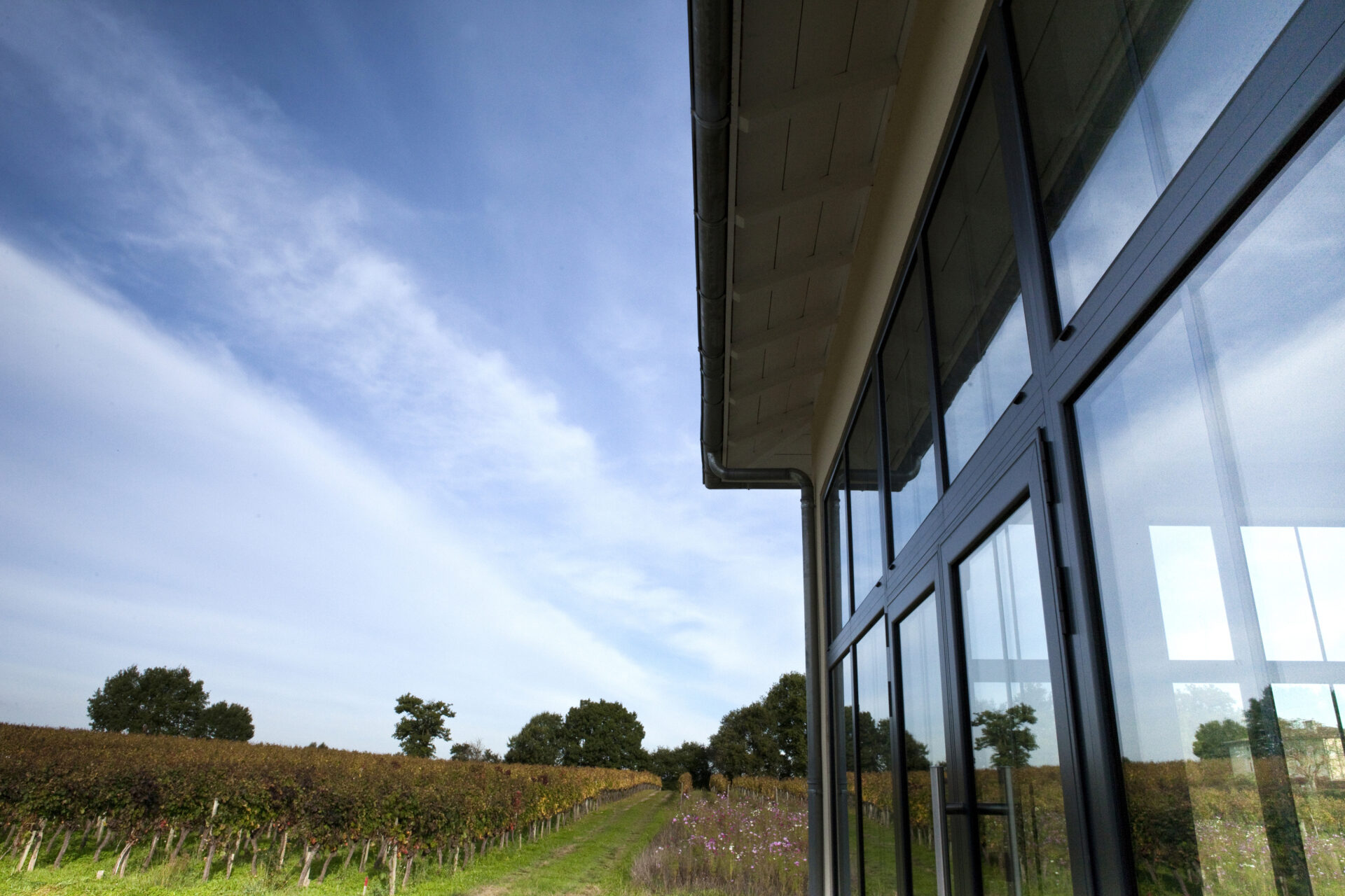 Custom Conservatories Tailored to Your Needs